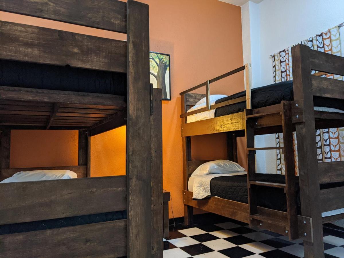 My Family In Monterrey - Hostel Exteriör bild